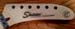 ZUUL_CHECKER_FRANK_BANANA_NECK_HeadStock_2000_00